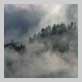 Landschaft
